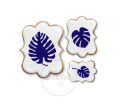 Monstera