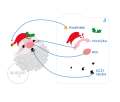 Santa Claus / instrukcja