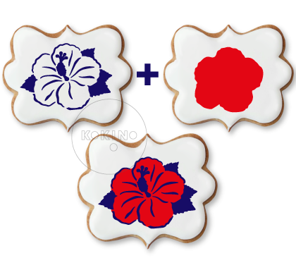 Hibiskus / Kwiat egzotyczny